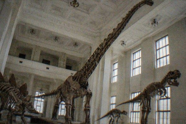 National Natural History Museum of China