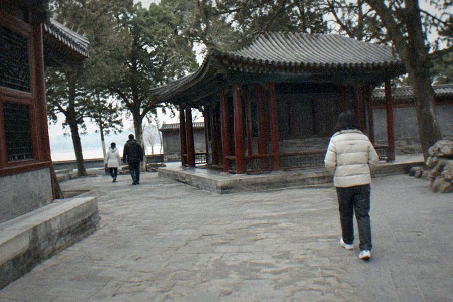 Tiled roof of a Summer Palace hall above a slope of pine trees