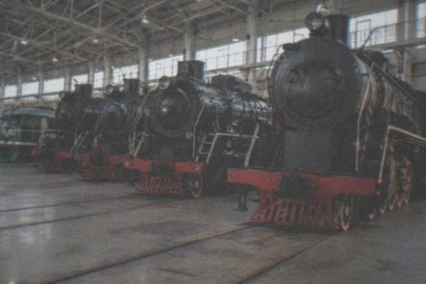 A row of historic steam locomotives inside a museum exhibition hall