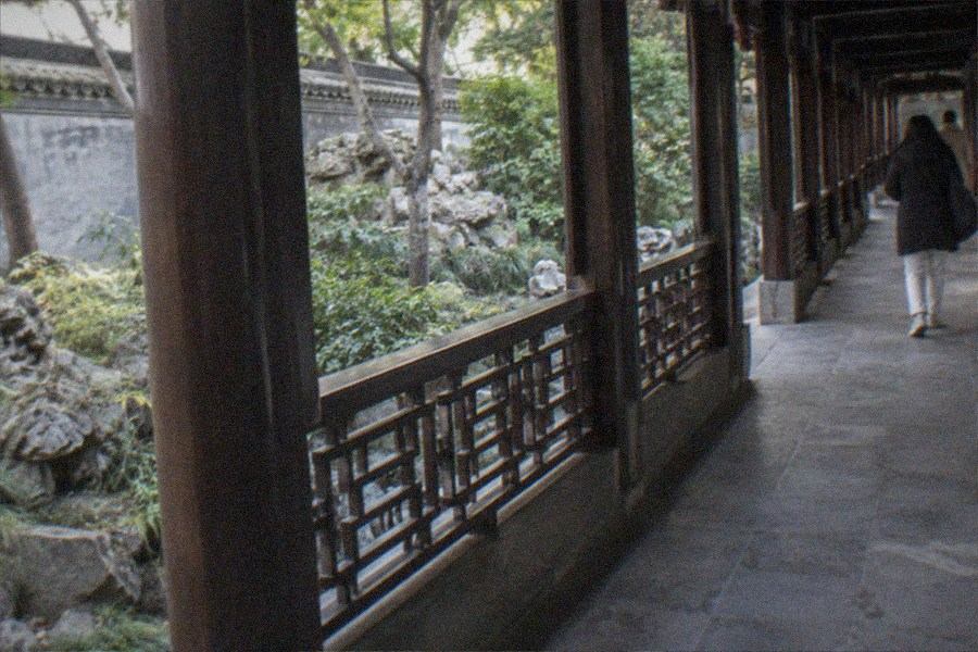 A quiet tree-lined path in a Beijing park with stone paving and morning light