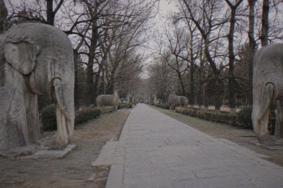The stone camels and officials of the Spirit Way lining the processional road into the Ming Tombs valley